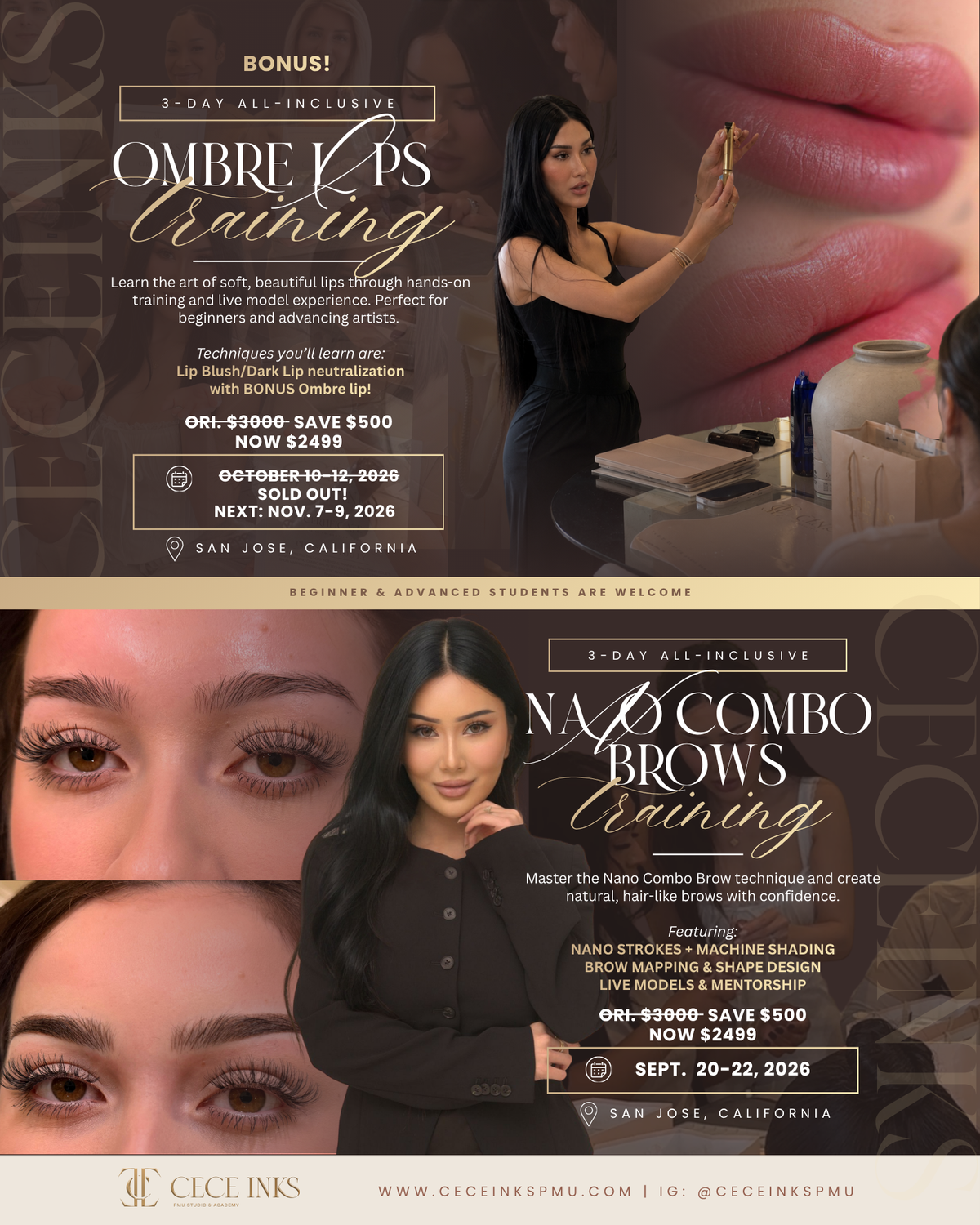 Nano Combo Brow Training