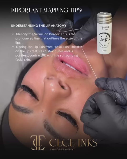 Precision Lip Mapping Master for PMU Artist