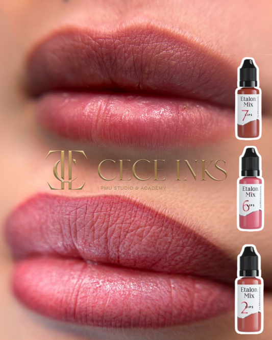 Soft Ombre Lip Combo with Cece